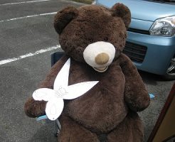 大津市堅田美容室エイトボウル　スタッフ募集　女性スタイリストのいるお店　オリジナルシャンプーがあるお店