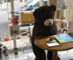 大津市今堅田美容室エイトボウル　大きなくまさん