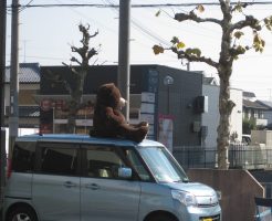 くまさん　大津市今堅田美容室エイトボウル