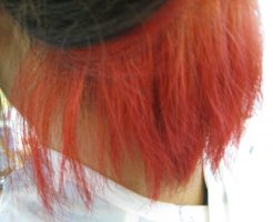 セクションカラー　大津市今堅田美容室エイトボウル