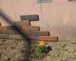 大津市今堅田美容室エイトボウル　DIY 　レンガとお花
